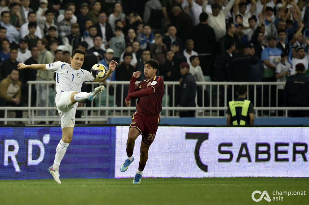 _JP85414.JPG
