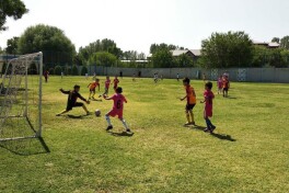 O'zbekiston futbol assotsiatsiyasi Milliy olimpiya qo'mitasi bilan hamkorlikda festival o'tkazmoqda