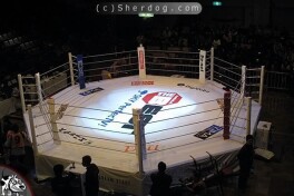 Olamsport: Jahon chempioni MMAda debyut qiladi, Xamzat Ramzan Kadirov bilan mashg'ulot olib bormoqda