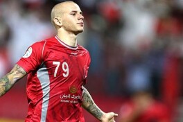 Vladimir Vayss hibsga olindi